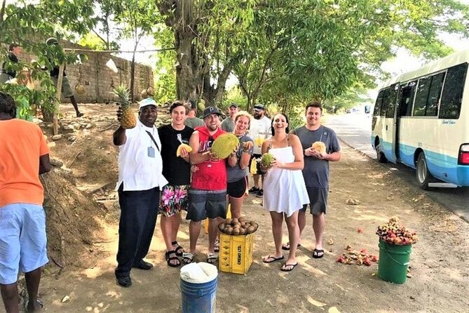 Taste of Jamaica Food Tour from Ocho Rios - Fern Gully rainforest: what you’re really paying for