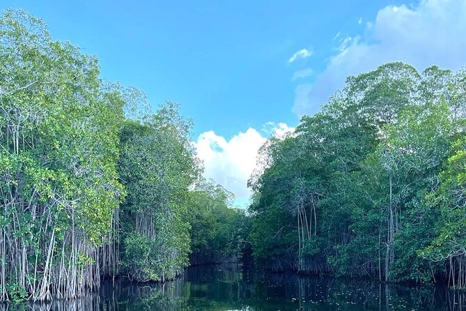Tour to Black River and YS Falls - The guide makes the experience: Everald’s on-time, watchful approach
