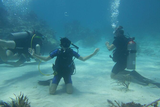 Two Tank Dive in Montego Bay w/Certified Divers - Sunset Beach meeting point, then straight to the water