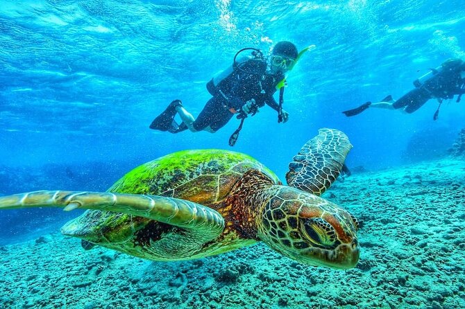 Two Tank Dive in Montego Bay w/Certified Divers - Equipment, water, and how the two-tank format works
