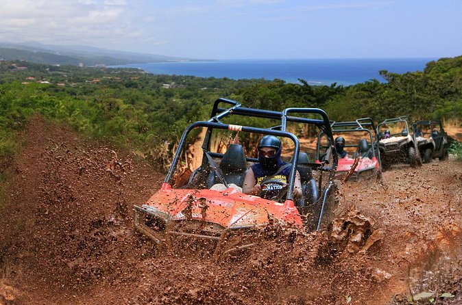 Wet n Dirty ATV Outback Adventure From Ocho Rios - The Plant Lesson: Fruit Tasting and Medicinal Info