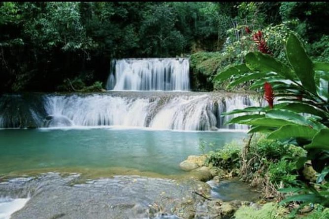YS Falls and Appleton Estate Private Rum Tour - YS Falls Cooling Off: Rope Swing Fun and Wet Clothes Logic