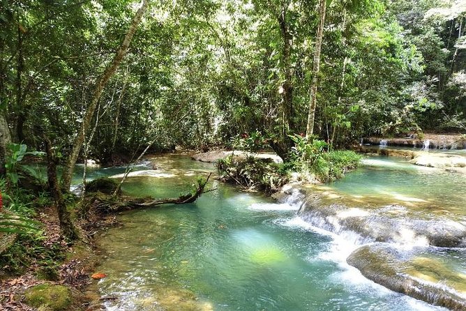 YS Falls and Appleton Estate Private Rum Tour - Getting the Timing Right: 8 to 10 Hours Means Real Travel