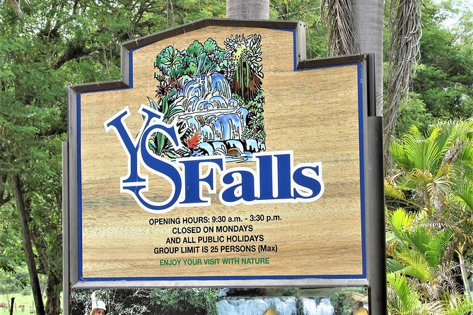 YS Falls and Black River Safari Guided Tour from Montego Bay and Grand Palladium - Black River Safari: Crocodiles, Birds, and the Captain’s Style