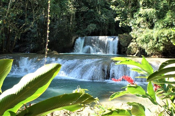 YS Falls and Black River Safari Guided Tour from Montego Bay and Grand Palladium - Should You Book This YS Falls and Black River Tour?