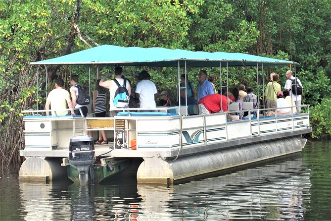 YS Falls and Black River Safari Guided Tour from Montego Bay and Grand Palladium - Lunch at the Black River Dock Before the Pontoon Cruise