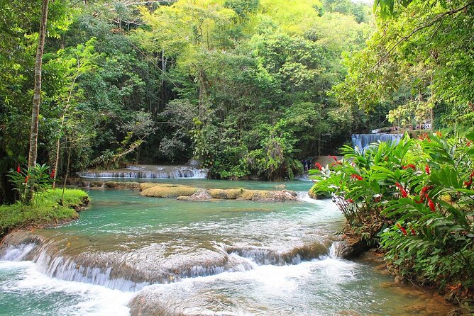 YS Falls and Black River Safari South Coast from Negril Jamaica - Key Things to Know Before You Go