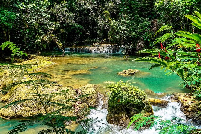 YS Falls and Black River Safari South Coast from Negril Jamaica - Black River Safari: Mangroves, Birds, and Crocodiles on a Pontoon Boat