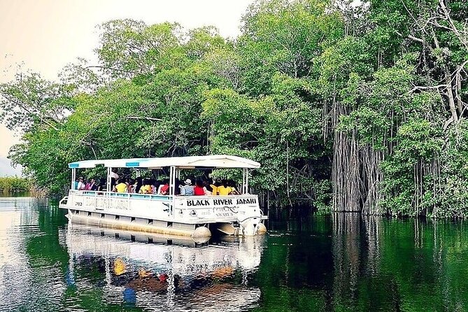 YS Falls and Black River Safari South Coast from Negril Jamaica - Transfers, Timing, and How to Plan Your Day in 5 to 6 Hours