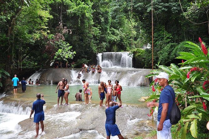 YS Falls and The Pelican Bar Adventure Tour from Negril - A full Negril day that swaps hot roads for water views