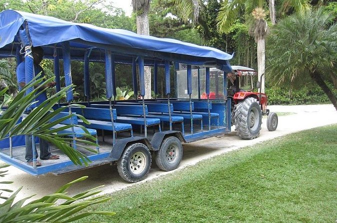 YS Falls and The Pelican Bar Adventure Tour from Negril - YS Falls: seven tiers, mineral pools, and a safety-first setup