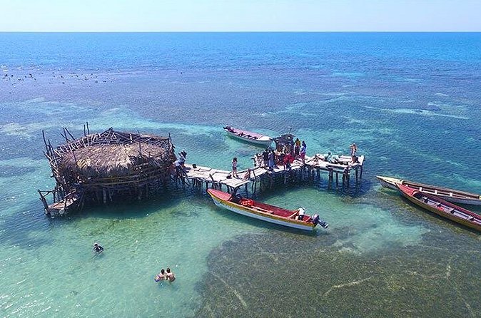 YS Falls and The Pelican Bar Adventure Tour from Negril - Timing of the day: how to avoid feeling rushed