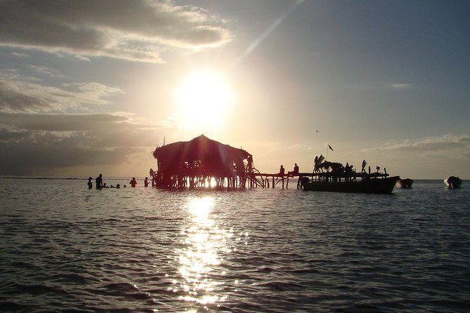 YS Falls, Black River Safari, and Floyd's Pelican Bar Day-Trip (Transportation) - A full-day route: waterfalls, a wetland safari, and a bar in the sea