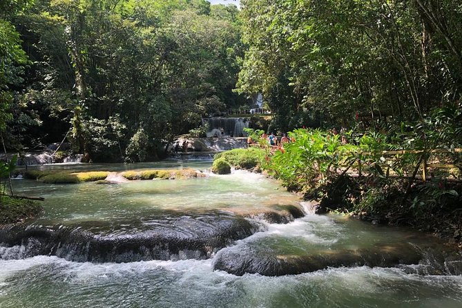 YS Falls, Black River Safari, and Floyd's Pelican Bar Day-Trip (Transportation) - Price and value: what you pay for, what you still budget for