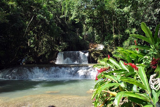YS Falls, Black River Safari, Appleton Rum Tour OR Pelican Bar (Choose Up to 3) - Private South Coast Tour, minus the bus hassle