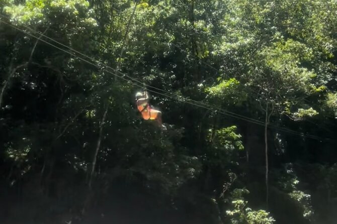 YS Falls, Black River Safari, Appleton Rum Tour OR Pelican Bar (Choose Up to 3) - Appleton Estate Rum Experience: tasting that feels like a lesson
