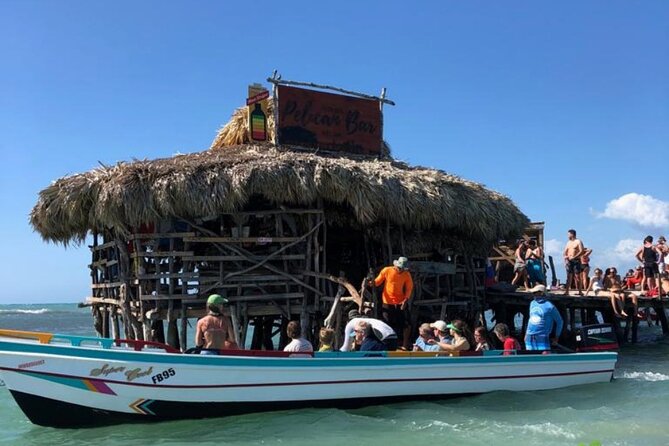 YS Falls, Black River Safari, Appleton Rum Tour OR Pelican Bar (Choose Up to 3) - Value and price: what you pay, what you still need to budget