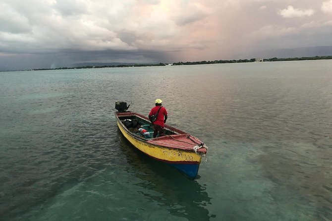YS Falls, Black River Safari, Floyd’s Pelican Bar - Key Things to Know Before You Go