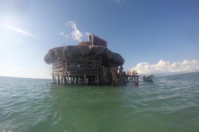 YS Falls, Black River Safari, Floyd’s Pelican Bar - Price and What You Actually Get for $179.50