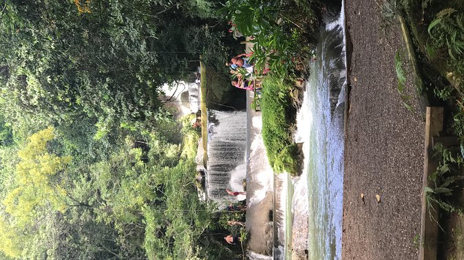 YS Falls Private Full-Day Adventure Tour with Pickup - Why YS Falls feels worth your day