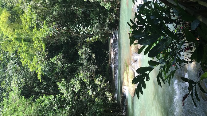 YS Falls Private Full-Day Adventure Tour with Pickup - Best for active nature lovers, and for families who want clear swim options