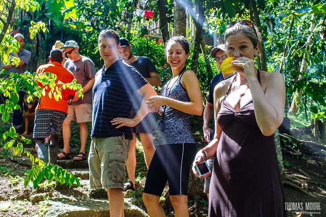 Zimbali's Rasta Tour Lunch - The hike: what moderate really feels like