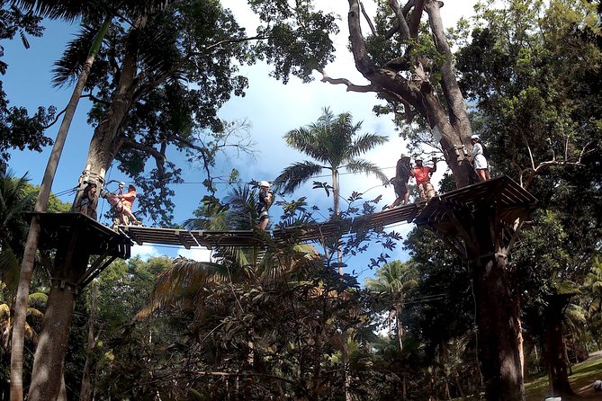 Zip Line over the Dunns River Falls - Getting to Dunn’s River from Montego Bay in an air-conditioned ride
