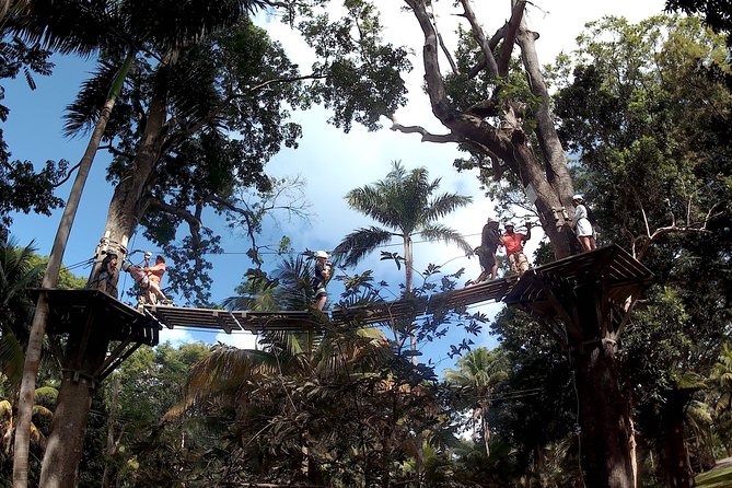 Zip Line over the Dunns River Falls - Waterfall time at Dunn’s River: terraced exploring without rushing