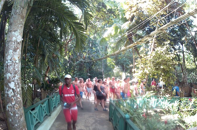 Zip Line over the Dunns River Falls - Private-tour comfort: how the driver and guides change the vibe