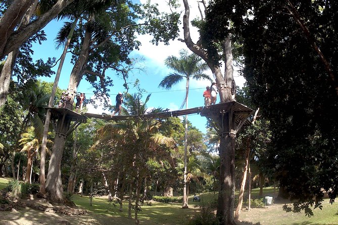 Zip Line over the Dunns River Falls - Price and value: is $192.67 per person fair for a private zipline day?