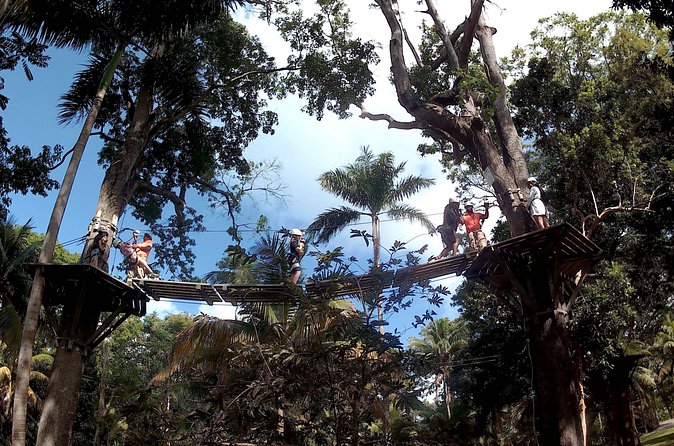 Zip Line over the Dunns River Falls - Tips to make your day smoother (and less scary)