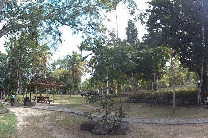 Zip Line over the Dunns River Falls - Who this tour suits best