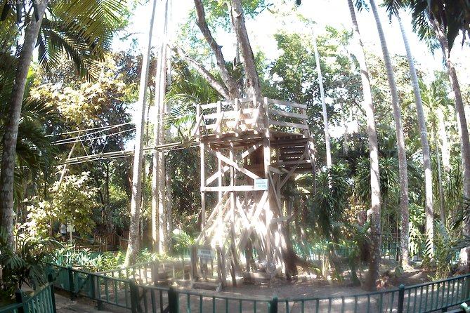 Zip Line over the Dunns River Falls - Special access pass and guided armbands, gear, and safety briefing