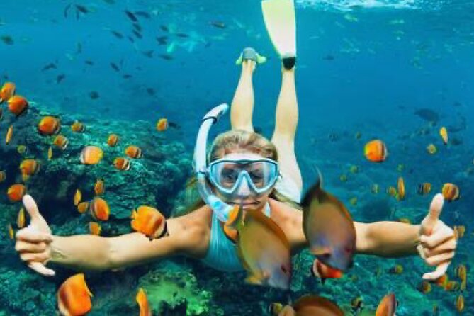 Zip-lining/Horseback Rides/Cat & Atv Inclusive Act with Transpo From Montego Bay - Zip Lining: What to Expect and How to Stay Comfortable