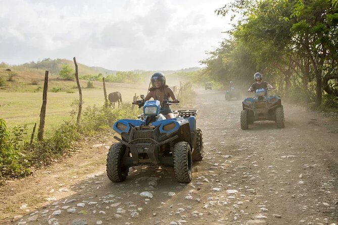 Zip-lining/Horseback Rides/Cat & Atv Inclusive Act with Transpo From Montego Bay - Price and Value: Why This Package Can Be Worth $210