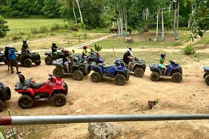 Zipline, Horseback Ride and Swim and Quad ATV bike in Negril - Price and Value: What $335 per Person Really Covers