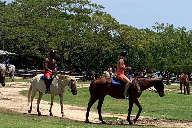 Zipline, Horseback Ride, ATV and Catamaran from Montego Bay - Ziplining Through Jamaicas Forest: What It Feels Like
